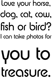 Equine, Feline, Canine, Bovine